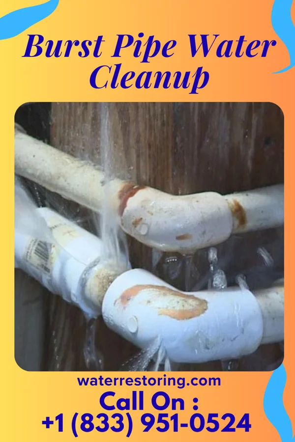 Burst Pipe Water Cleanup in Oakland, TN