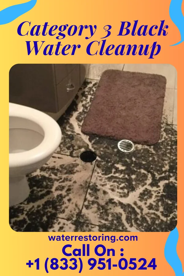 Category 3 Black Water Cleanup in Oakland, TN