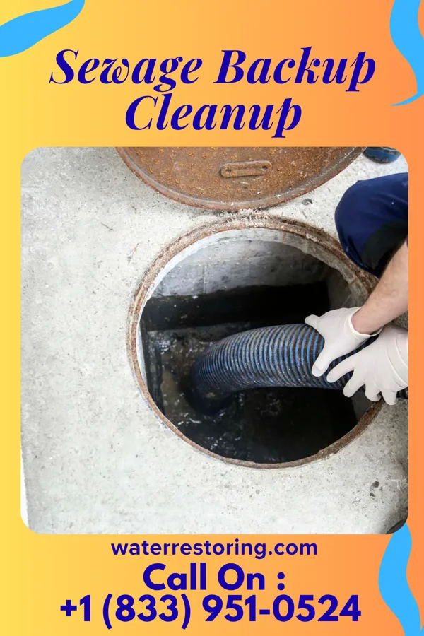 Sewage Backup Cleanup in Oakland, TN
